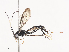  ( - CBG-A36880-F12)  @11 [ ] CreativeCommons - Attribution Share - Alike (2024) CBG Photography Group Centre for Biodiversity Genomics