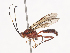  ( - CBG-A36880-G07)  @11 [ ] CreativeCommons - Attribution Share - Alike (2024) CBG Photography Group Centre for Biodiversity Genomics