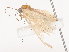  ( - CBG-A36880-H02)  @11 [ ] CreativeCommons - Attribution Share - Alike (2024) CBG Photography Group Centre for Biodiversity Genomics