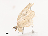  ( - CBG-A36880-H09)  @11 [ ] CreativeCommons - Attribution Share - Alike (2024) CBG Photography Group Centre for Biodiversity Genomics