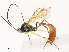  ( - CBG-A38529-H11)  @11 [ ] CreativeCommons - Attribution Share - Alike (2024) CBG Photography Group Centre for Biodiversity Genomics