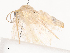  ( - CBG-A38532-H01)  @11 [ ] CreativeCommons - Attribution Share - Alike (2024) CBG Photography Group Centre for Biodiversity Genomics