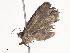  ( - CBG-A38533-C10)  @11 [ ] CreativeCommons - Attribution Share - Alike (2024) CBG Photography Group Centre for Biodiversity Genomics