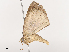  ( - CBG-A38534-G12)  @11 [ ] CreativeCommons - Attribution Share - Alike (2024) CBG Photography Group Centre for Biodiversity Genomics