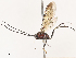 ( - CBG-A38536-B02)  @11 [ ] CreativeCommons - Attribution Share - Alike (2024) CBG Photography Group Centre for Biodiversity Genomics