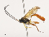  ( - CBG-A38536-C02)  @11 [ ] CreativeCommons - Attribution Share - Alike (2024) CBG Photography Group Centre for Biodiversity Genomics