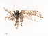  ( - CBG-A38551-E09)  @11 [ ] CreativeCommons - Attribution Share - Alike (2024) CBG Photography Group Centre for Biodiversity Genomics