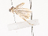 ( - CBG-A38551-H07)  @11 [ ] CreativeCommons - Attribution Share - Alike (2024) CBG Photography Group Centre for Biodiversity Genomics