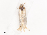  ( - CBG-A38551-H10)  @11 [ ] CreativeCommons - Attribution Share - Alike (2024) CBG Photography Group Centre for Biodiversity Genomics