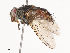  ( - CBG-A38552-B06)  @11 [ ] CreativeCommons - Attribution Share - Alike (2024) CBG Photography Group Centre for Biodiversity Genomics