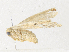 ( - CBG-A38555-F05)  @11 [ ] CreativeCommons - Attribution Share - Alike (2024) CBG Photography Group Centre for Biodiversity Genomics