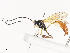  ( - CBG-A38558-E05)  @11 [ ] CreativeCommons - Attribution Share - Alike (2024) CBG Photography Group Centre for Biodiversity Genomics