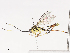  ( - CBG-A38559-A10)  @11 [ ] CreativeCommons - Attribution Share - Alike (2024) CBG Photography Group Centre for Biodiversity Genomics