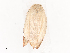  ( - CBG-A38559-H03)  @11 [ ] CreativeCommons - Attribution Share - Alike (2024) CBG Photography Group Centre for Biodiversity Genomics