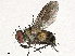  ( - CBG-A38560-D01)  @11 [ ] CreativeCommons - Attribution Share-Alike (2024) CBG Photography Group Centre for Biodiversity Genomics