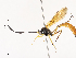  ( - CBG-A40169-A01)  @11 [ ] CreativeCommons - Attribution Share - Alike (2024) CBG Photography Group Centre for Biodiversity Genomics