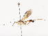  ( - CBG-A40169-A05)  @11 [ ] CreativeCommons - Attribution Share - Alike (2024) CBG Photography Group Centre for Biodiversity Genomics