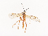  ( - CBG-A40169-A06)  @11 [ ] CreativeCommons - Attribution Share - Alike (2024) CBG Photography Group Centre for Biodiversity Genomics