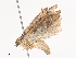  ( - CBG-A40169-D12)  @11 [ ] CreativeCommons - Attribution Share - Alike (2024) CBG Photography Group Centre for Biodiversity Genomics