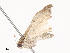  ( - CBG-A40169-E11)  @11 [ ] CreativeCommons - Attribution Share - Alike (2024) CBG Photography Group Centre for Biodiversity Genomics