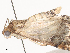  ( - CBG-A40169-F02)  @11 [ ] CreativeCommons - Attribution Share - Alike (2024) CBG Photography Group Centre for Biodiversity Genomics