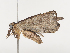  ( - CBG-A40172-B11)  @11 [ ] CreativeCommons - Attribution Share - Alike (2024) CBG Photography Group Centre for Biodiversity Genomics