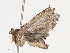  ( - CBG-A40172-C05)  @11 [ ] CreativeCommons - Attribution Share - Alike (2024) CBG Photography Group Centre for Biodiversity Genomics