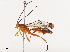  ( - CBG-A40172-F10)  @11 [ ] CreativeCommons - Attribution Share - Alike (2024) CBG Photography Group Centre for Biodiversity Genomics