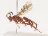  ( - CBG-A40172-G04)  @11 [ ] CreativeCommons - Attribution Share - Alike (2024) CBG Photography Group Centre for Biodiversity Genomics