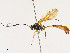  ( - CBG-A40173-A01)  @11 [ ] CreativeCommons - Attribution Share - Alike (2024) CBG Photography Group Centre for Biodiversity Genomics