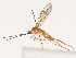  ( - CBG-A40173-C03)  @11 [ ] CreativeCommons - Attribution Share - Alike (2024) CBG Photography Group Centre for Biodiversity Genomics