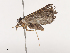  ( - CBG-A41762-G07)  @11 [ ] CreativeCommons - Attribution Share - Alike (2024) CBG Photography Group Centre for Biodiversity Genomics