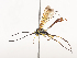 (ichMalaise01 Malaise6329 - CBG-A41763-F01)  @11 [ ] CreativeCommons - Attribution Share - Alike (2024) CBG Photography Group Centre for Biodiversity Genomics