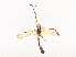  ( - CBG-A41764-A06)  @11 [ ] CreativeCommons - Attribution Share - Alike (2024) CBG Photography Group Centre for Biodiversity Genomics