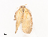 ( - CBG-A41764-C06)  @11 [ ] CreativeCommons - Attribution Share - Alike (2024) CBG Photography Group Centre for Biodiversity Genomics