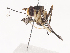  ( - CBG-A41764-E11)  @11 [ ] CreativeCommons - Attribution Share - Alike (2024) CBG Photography Group Centre for Biodiversity Genomics