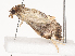  ( - CBG-A41764-H05)  @11 [ ] CreativeCommons - Attribution Share - Alike (2024) CBG Photography Group Centre for Biodiversity Genomics