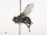  ( - CBG-A41765-A03)  @11 [ ] CreativeCommons - Attribution Share - Alike (2024) CBG Photography Group Centre for Biodiversity Genomics