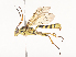  ( - CBG-A41785-A01)  @11 [ ] CreativeCommons - Attribution Share - Alike (2024) CBG Photography Group Centre for Biodiversity Genomics