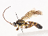  ( - CBG-A41787-F04)  @11 [ ] CreativeCommons - Attribution Share - Alike (2024) CBG Photography Group Centre for Biodiversity Genomics