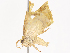  ( - CBG-A41788-C11)  @11 [ ] CreativeCommons - Attribution Share - Alike (2024) CBG Photography Group Centre for Biodiversity Genomics