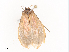  ( - CBG-A41788-E09)  @11 [ ] CreativeCommons - Attribution Share - Alike (2024) CBG Photography Group Centre for Biodiversity Genomics