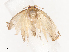  ( - CBG-A41789-A03)  @11 [ ] CreativeCommons - Attribution Share - Alike (2024) CBG Photography Group Centre for Biodiversity Genomics