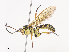  ( - CBG-A41790-C04)  @11 [ ] CreativeCommons - Attribution Share - Alike (2024) CBG Photography Group Centre for Biodiversity Genomics