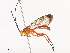  ( - CBG-A41790-D01)  @11 [ ] CreativeCommons - Attribution Share - Alike (2024) CBG Photography Group Centre for Biodiversity Genomics