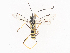  ( - CBG-A41790-D09)  @11 [ ] CreativeCommons - Attribution Share - Alike (2024) CBG Photography Group Centre for Biodiversity Genomics