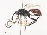  ( - CBG-A41790-E03)  @11 [ ] CreativeCommons - Attribution Share - Alike (2024) CBG Photography Group Centre for Biodiversity Genomics