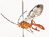  ( - CBG-A41790-E08)  @11 [ ] CreativeCommons - Attribution Share - Alike (2024) CBG Photography Group Centre for Biodiversity Genomics
