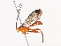  ( - CBG-A41790-E12)  @11 [ ] CreativeCommons - Attribution Share - Alike (2024) CBG Photography Group Centre for Biodiversity Genomics