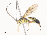  ( - CBG-A41790-F02)  @11 [ ] CreativeCommons - Attribution Share - Alike (2024) CBG Photography Group Centre for Biodiversity Genomics